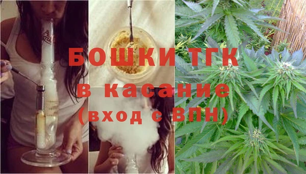 хмурый Ладушкин