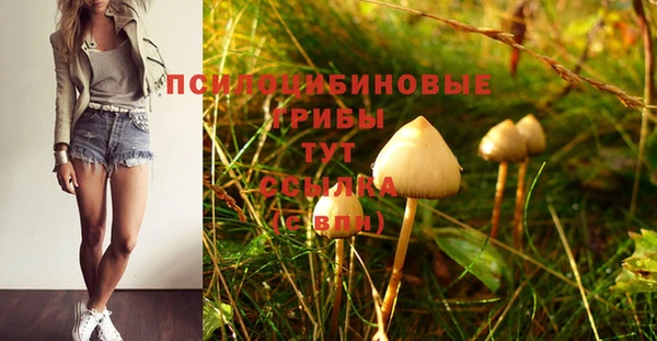сатива Лиски