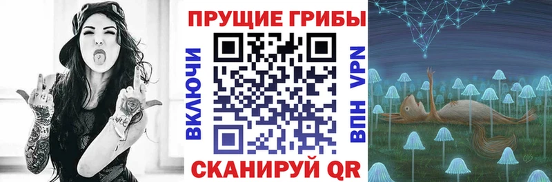 Галлюциногенные грибы прущие грибы  сколько стоит  Красноярск 
