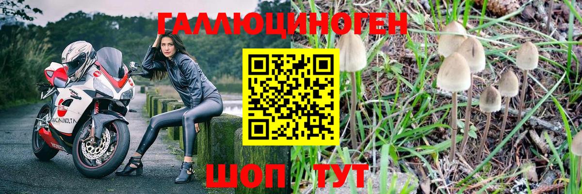 Галлюциногенные грибы мухоморы Красноярск